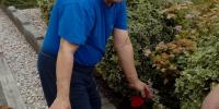 Jozef upravuje kvetinový záhon.